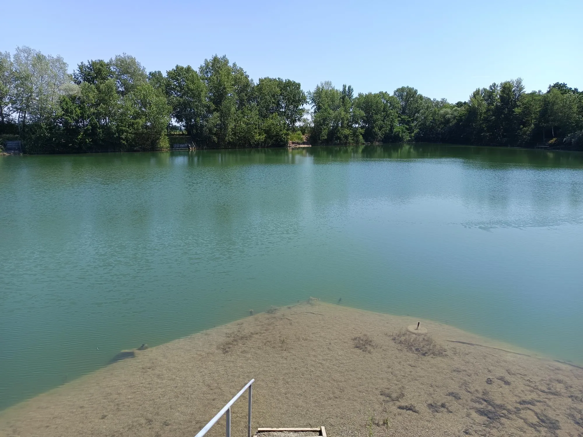 Teichreinigung 2025 – Dreibirkenteich